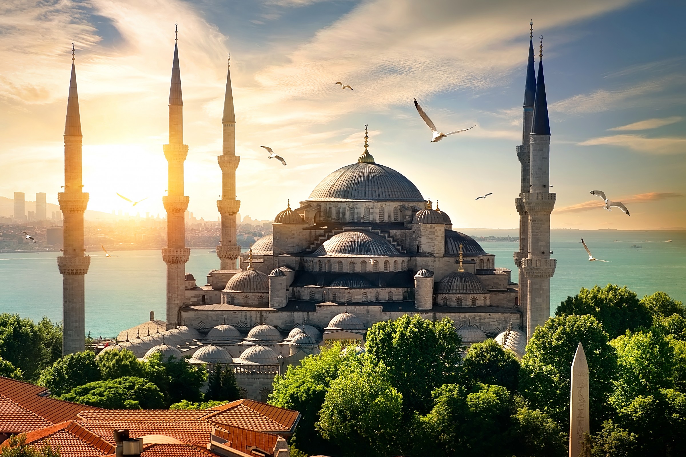 7 Days in Istanbul | Expertly Guided Tour of Iconic Landmarks & Hidden Gems